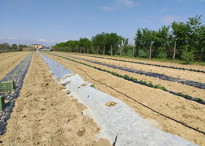 Agriturismo Il Melograno
