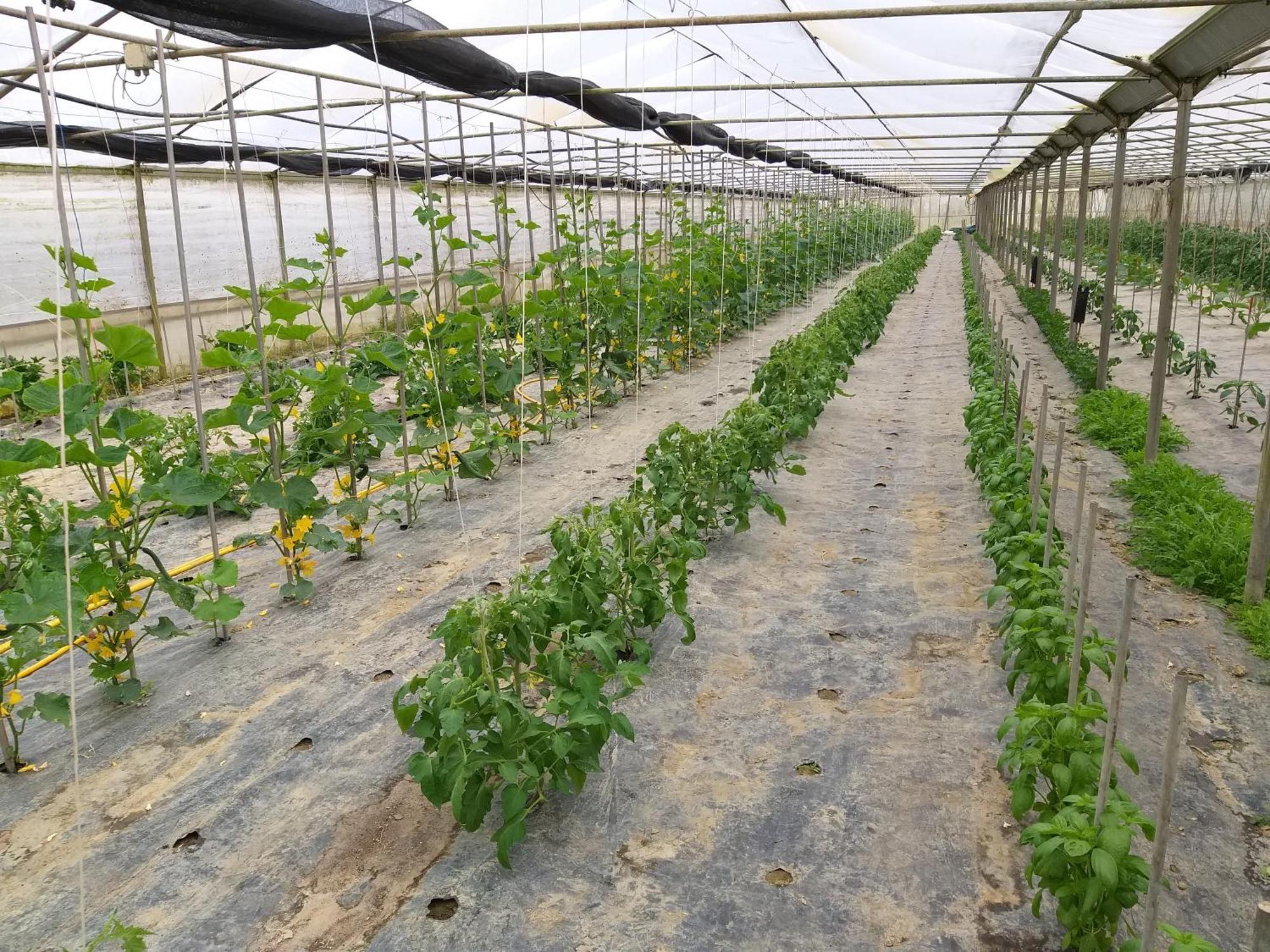 Il Melograno Agroturismo